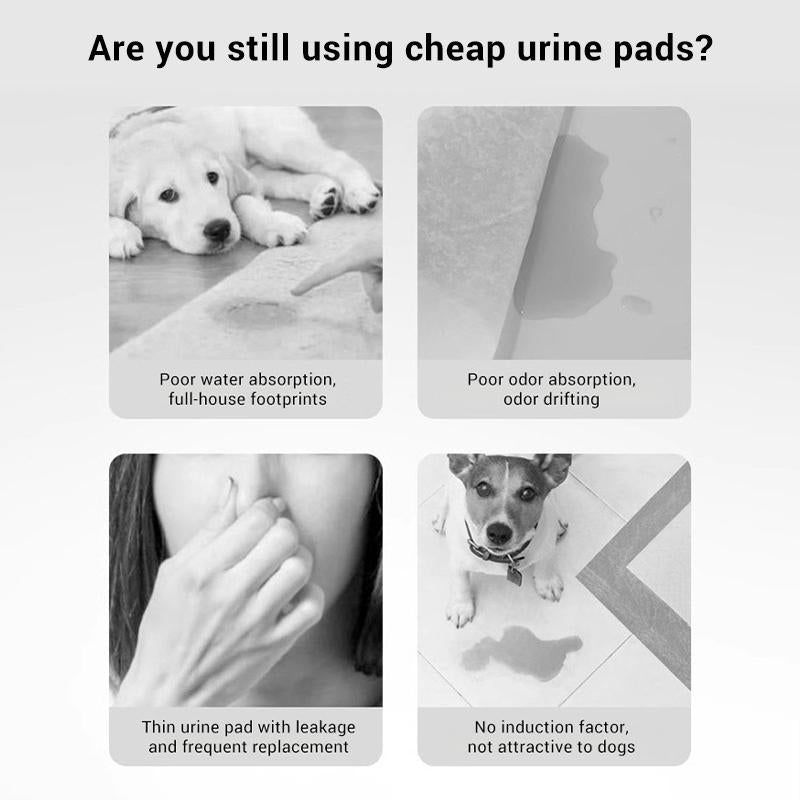 PetClear Pet Training Pads