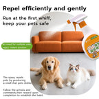 PetClear Pet No-Go Area Training Spray 450ML - Orange Scent