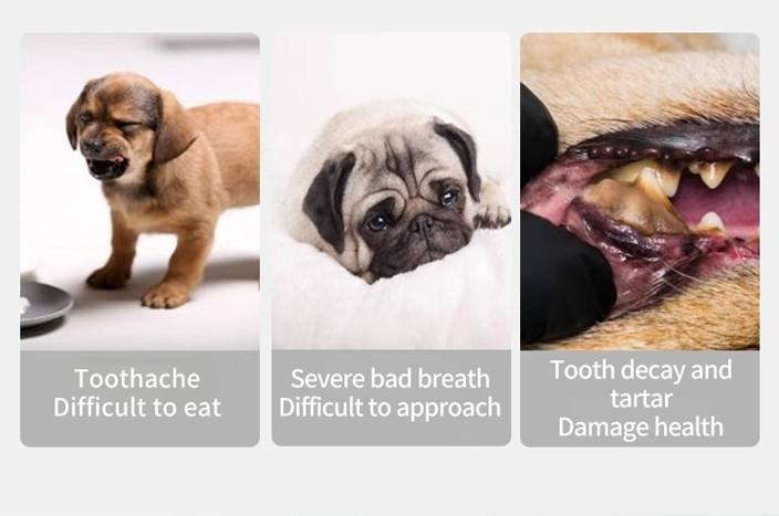 PetClear Pet Finger Toothbrush and Toothpaste Set