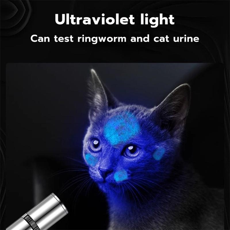 PetClear 4-in-1 Cat Laser Pointer Toy