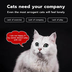 PetClear 4-in-1 Cat Laser Pointer Toy