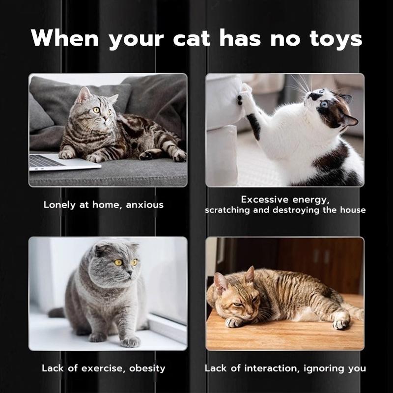 PetClear 4-in-1 Cat Laser Pointer Toy