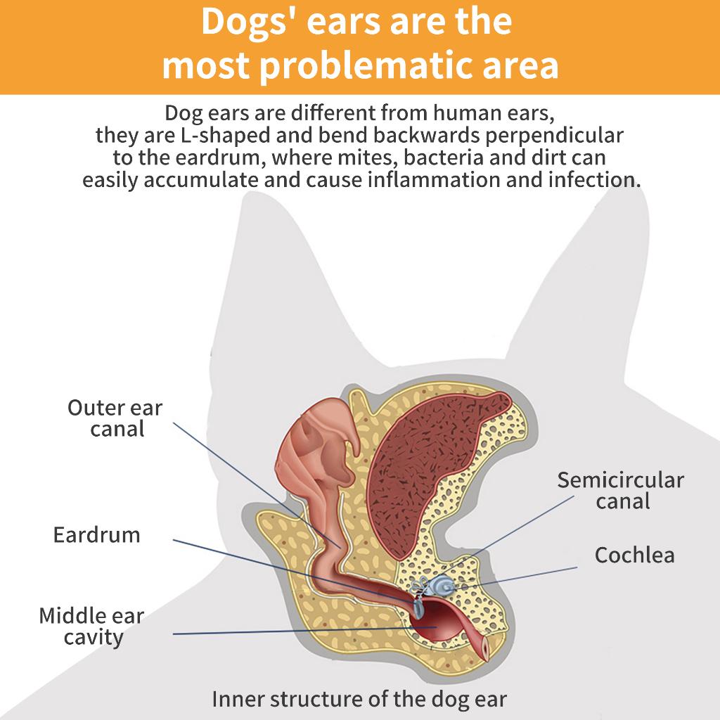PetClear Ear Hair Removal Powder 30g for Cats and Dogs
