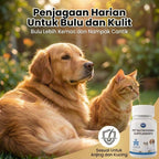PetClear Pet Daily Care Tablets (200 Tabs) – For Daily Coat Care